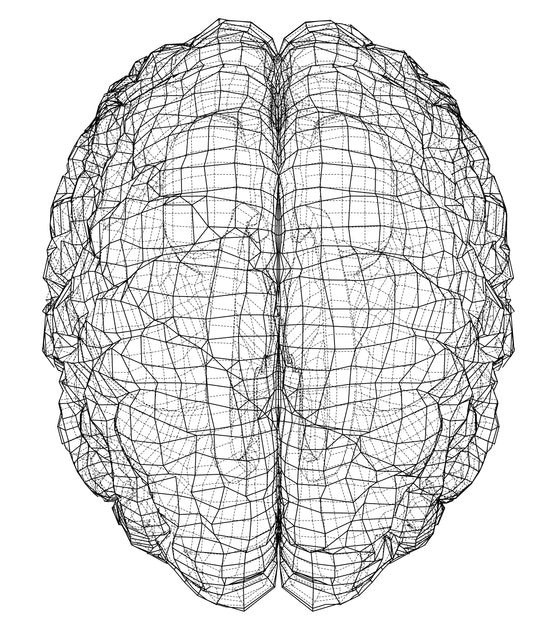 Dihexa: A Peptide That Helps the Brain Connect