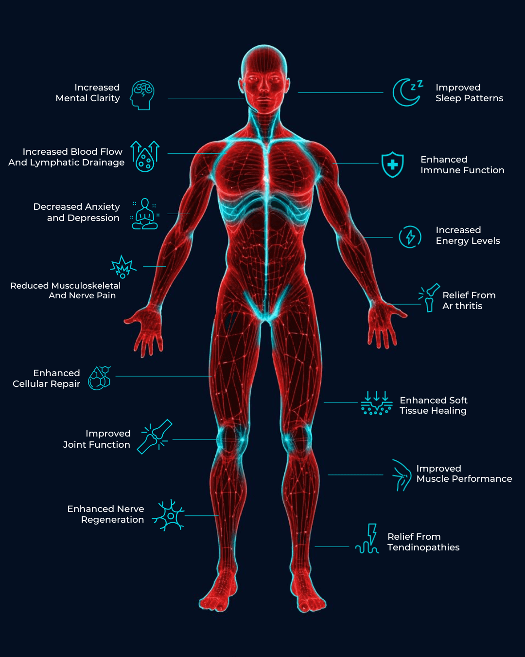 The Ultimate Red Light Panel image 2