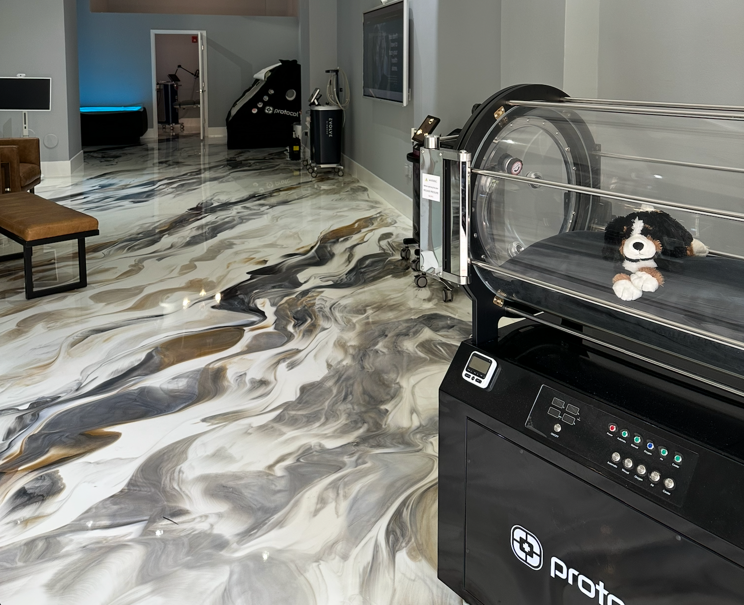 Small Pet Hyperbaric