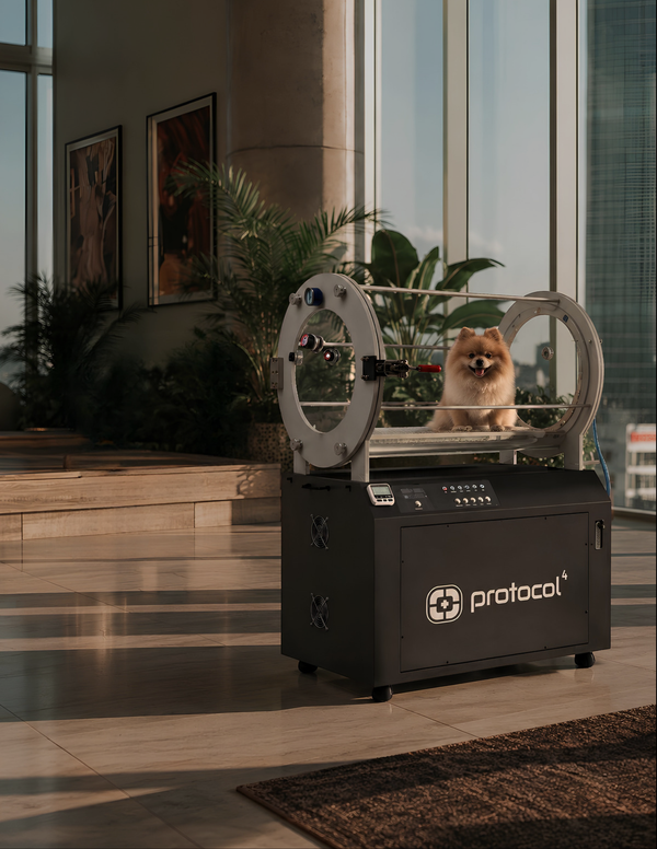 Small Pet Hyperbaric