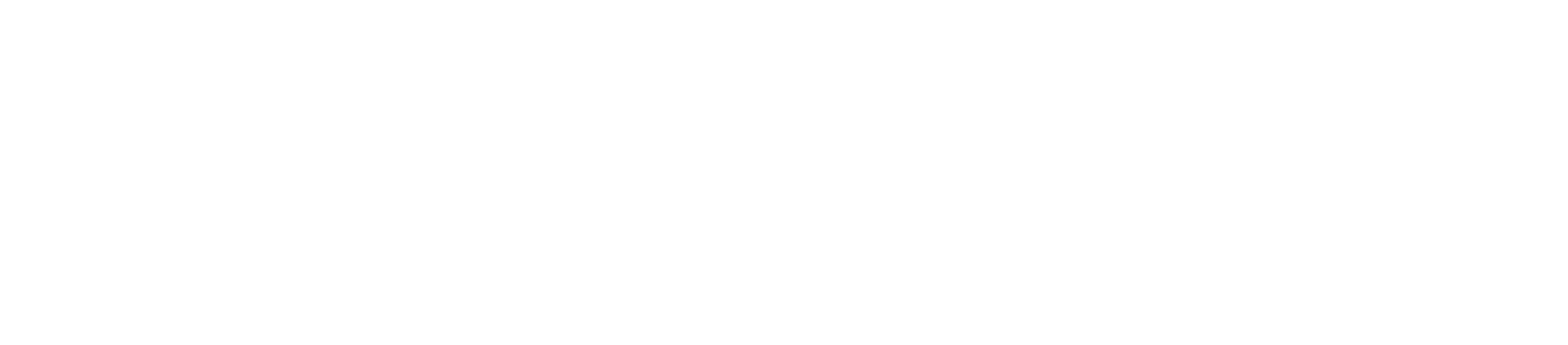 Protocol4